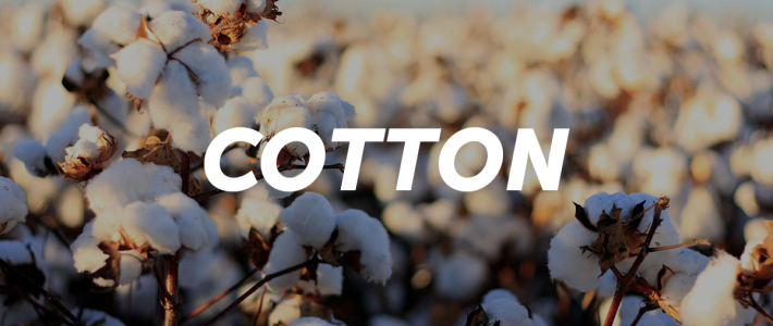 6 benefícios que você não conhecia sobre o cotton!